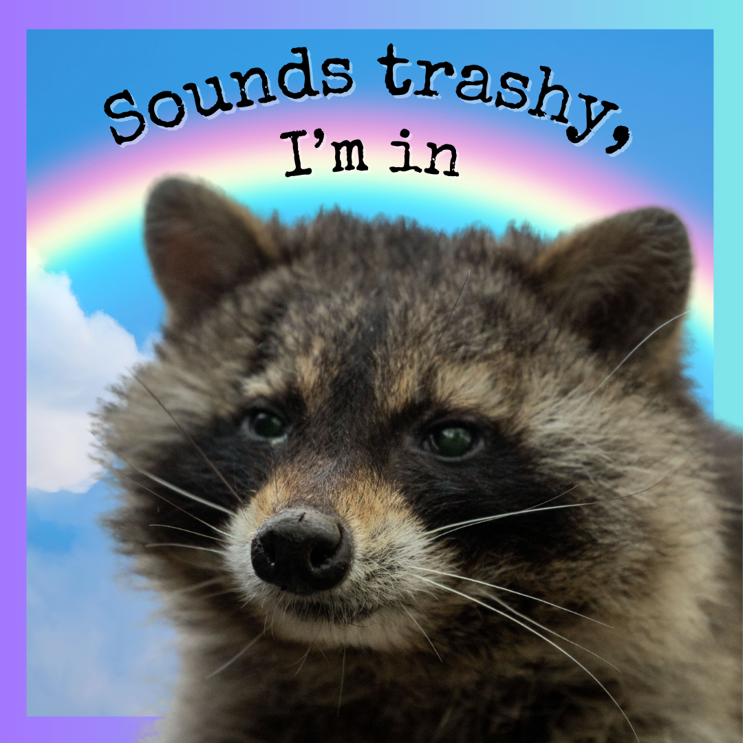 "Sounds Trashy, I'm In" Raccoon Sticker