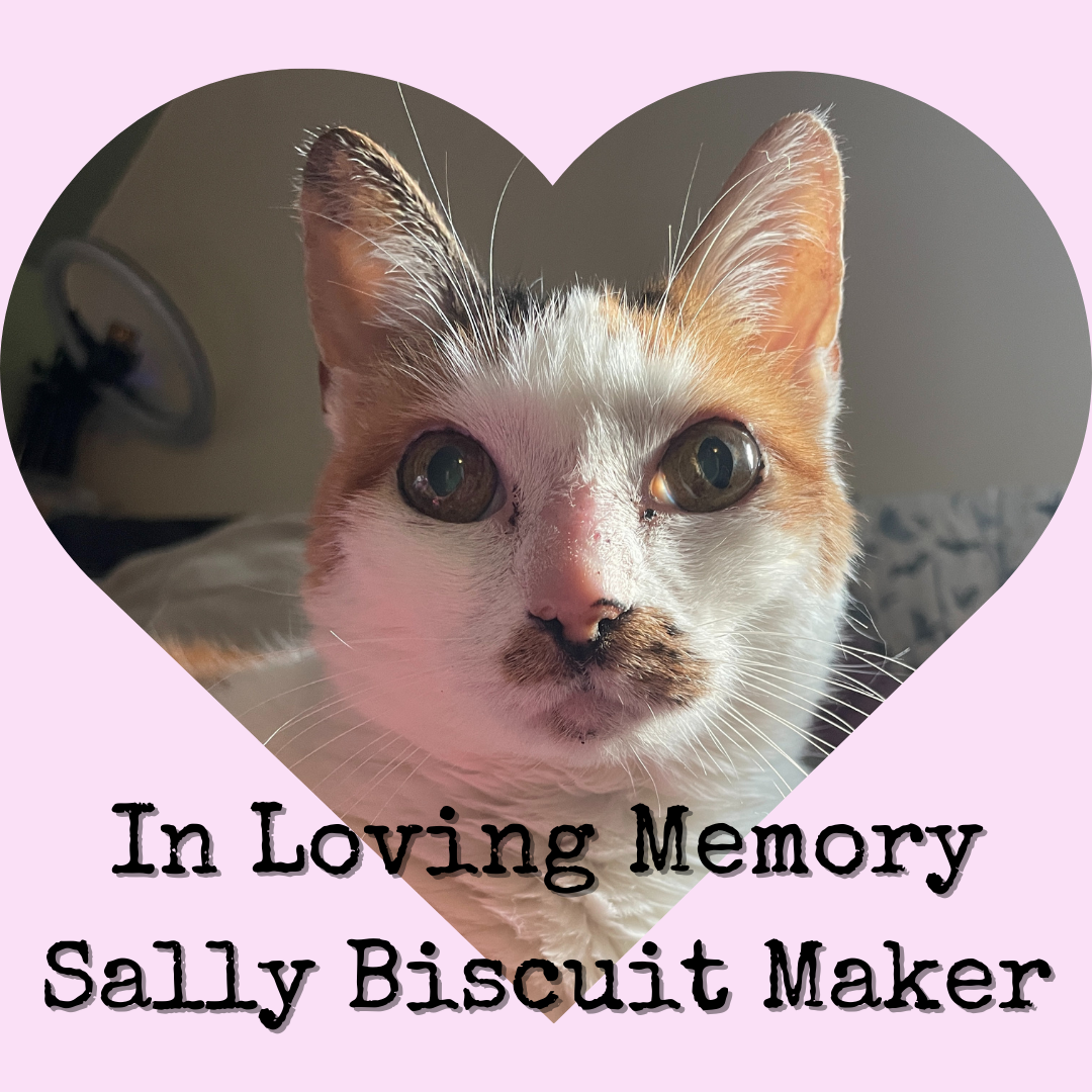 Sally Biscuit Maker - Small Batch Mystery Polish Benefitting HOPE for Brevard