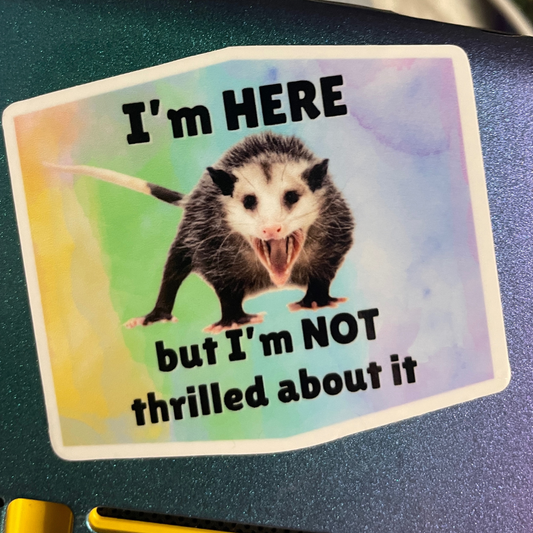 "I'm HERE but I'm NOT thrilled about it" Rainbow Opossum Sticker