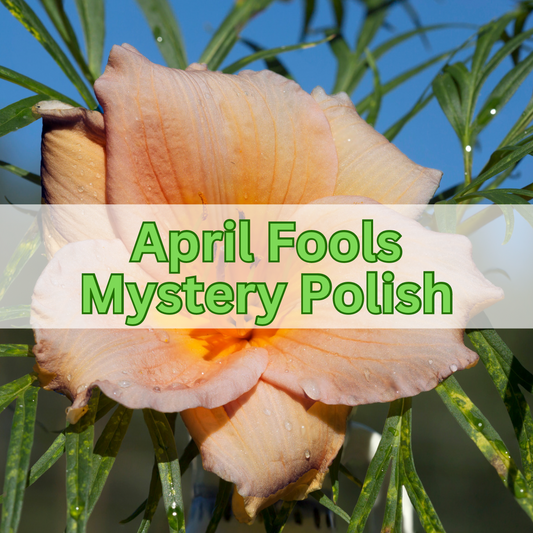 April Fools 2023 Mystery Polish (GITD)